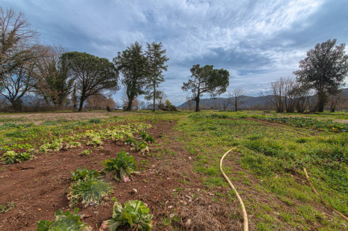 Casale di campagna in vendita a Ceprano