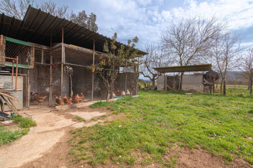 Casale di campagna in vendita a Ceprano