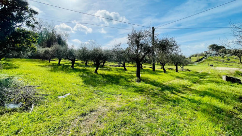 Casale di campagna in vendita a Roccasecca