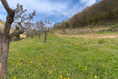 Villa for sale in Atina