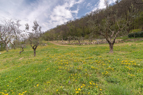 Villa for sale in Atina