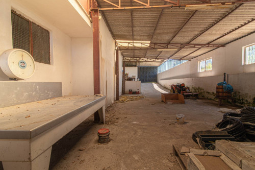 detached house for sale in Roccasecca