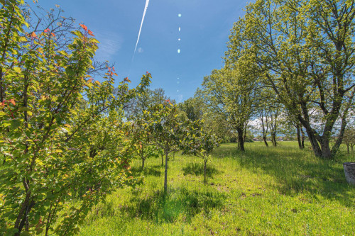 detached house for sale in Roccasecca