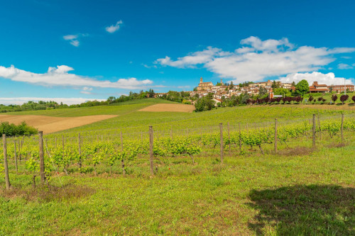 Palazzo storico in vendita a Vignale Monferrato