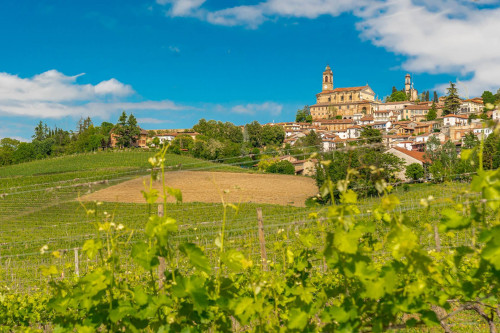 Palazzo storico in vendita a Vignale Monferrato