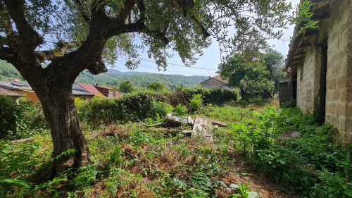 farmhouse for sale in Pico