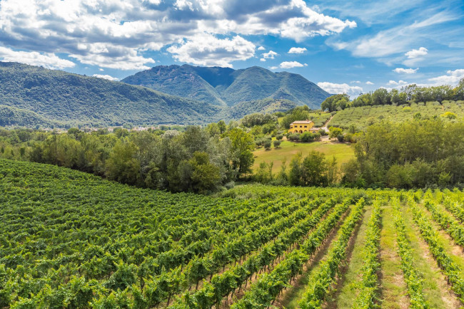 Villa in vendita a Ponte Melfa, Atina (FR)