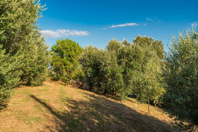 detached house for sale in Ceprano