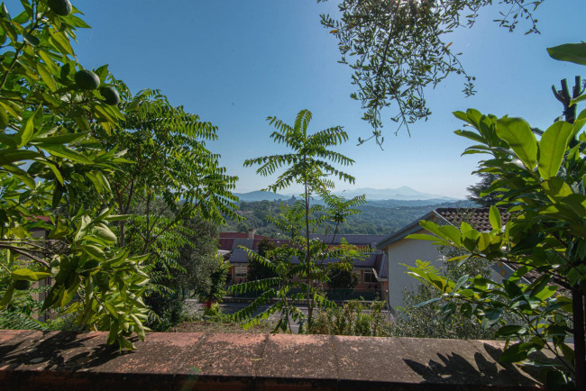detached house for sale in Torrice