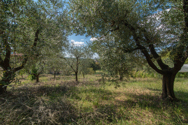 Villa for sale in Ferentino