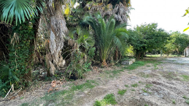 detached house for sale in Roccasecca