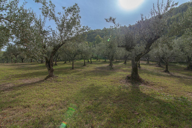 Villa for sale in Falvaterra