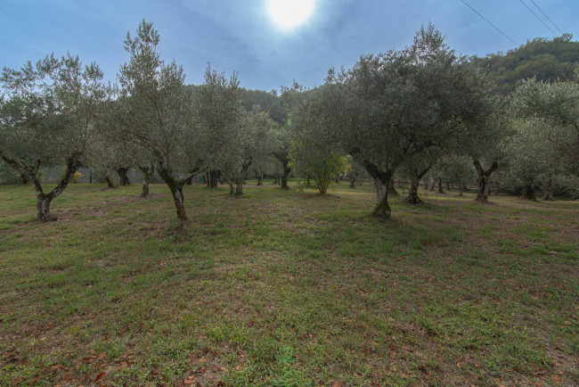 Villa for sale in Falvaterra