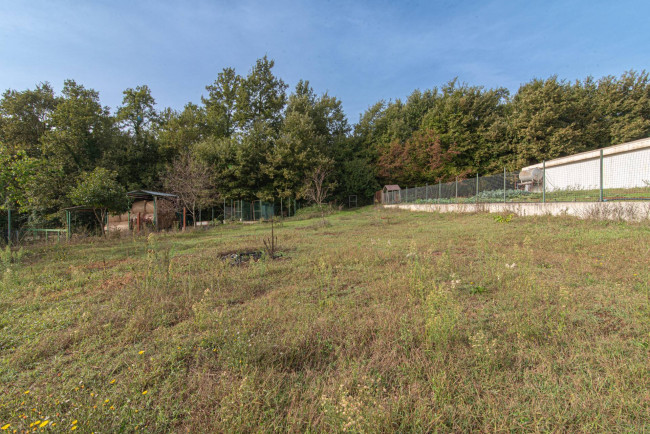 detached house for sale in Patrica