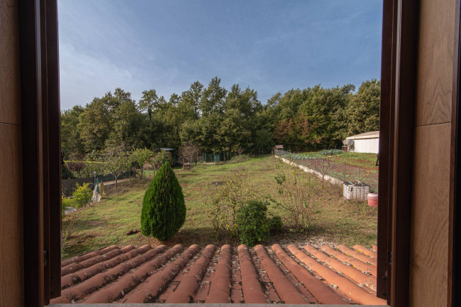detached house for sale in Patrica