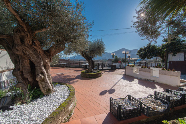 Turistico-alberghiero in vendita a Venafro