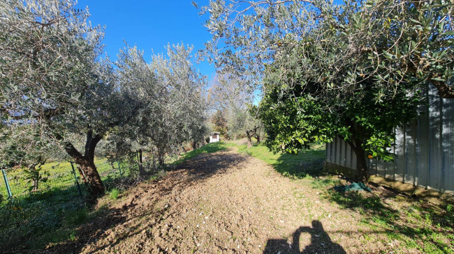 farmhouse for sale in Cervaro