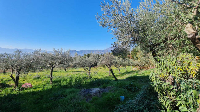 farmhouse for sale in Cervaro