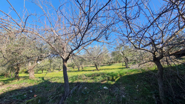 farmhouse for sale in Cervaro