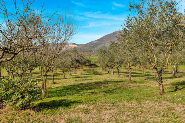 farmhouse for sale in Ferentino