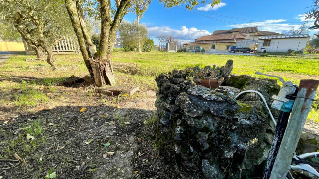 Casa indipendente in vendita a Colfelice