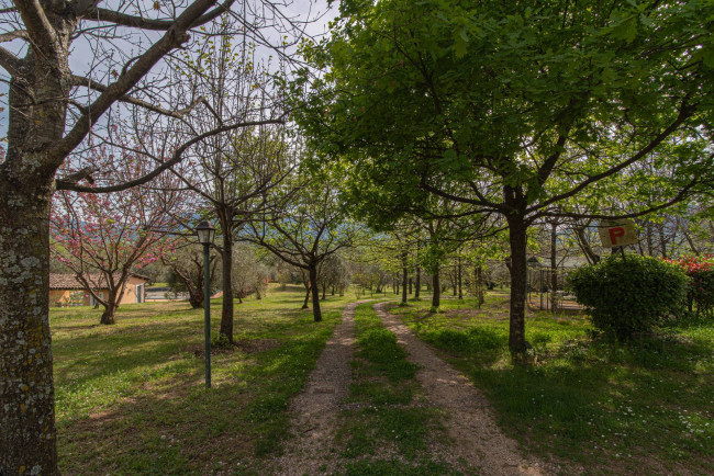 farmhouse for sale in San Donato Val di Comino