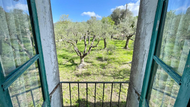 soluzione semiindipendente in vendita a Colfelice