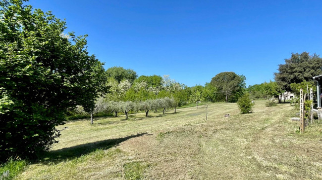 farmhouse for sale in Colfelice