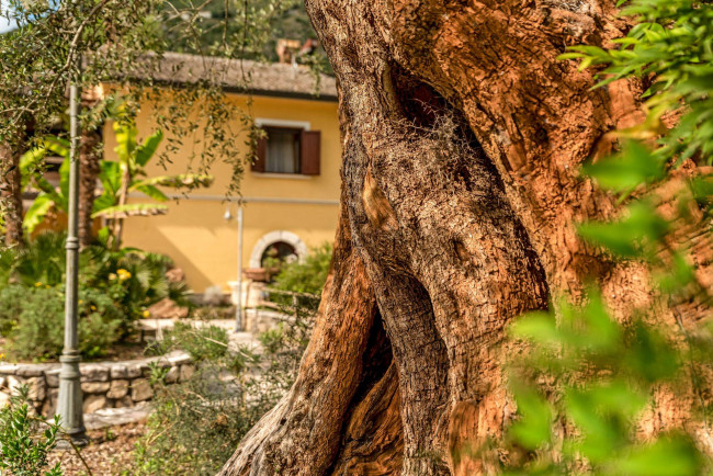Turistico-alberghiero in affitto/vendita a Castrocielo