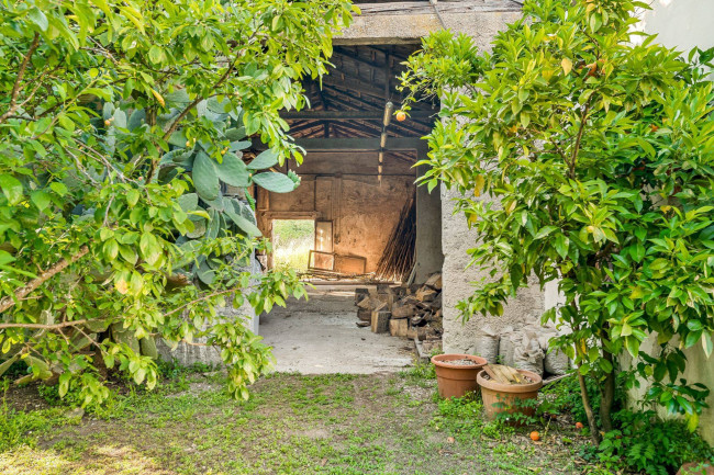 Casale di campagna in vendita a Pignataro Interamna