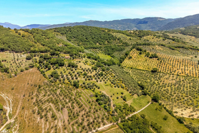 Abitazioni tipiche storiche in vendita a Scandriglia