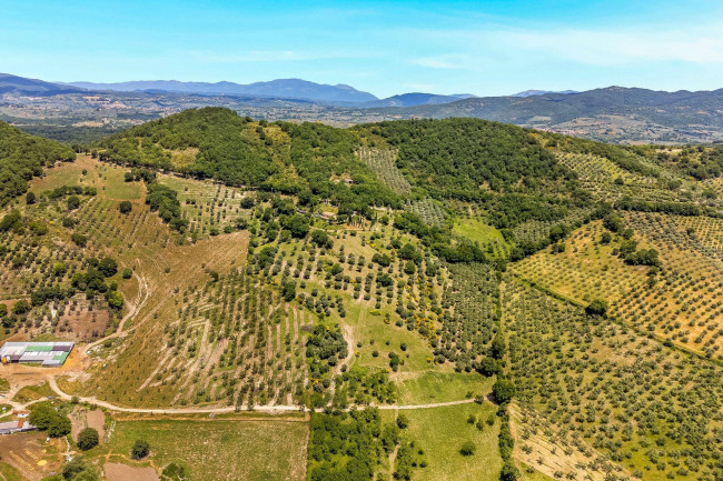 Abitazioni tipiche storiche in vendita a Scandriglia