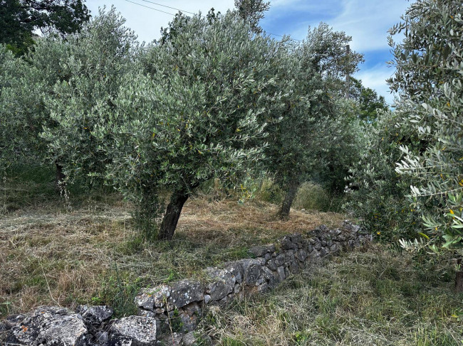 Casa indipendente in vendita a Pastena