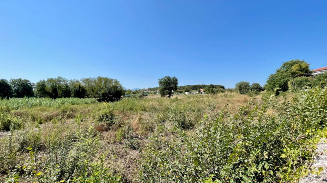 Terreno edificabile in vendita a Colfelice