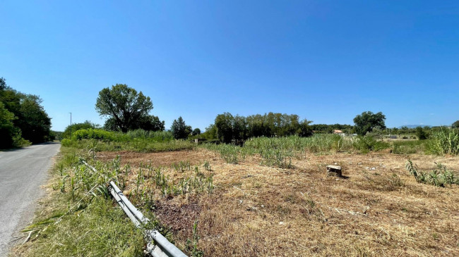 Terreno edificabile in vendita a Colfelice