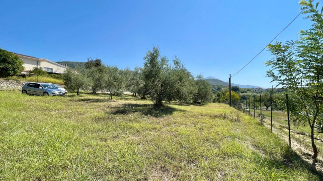 Terreno edificabile in vendita a Colfelice
