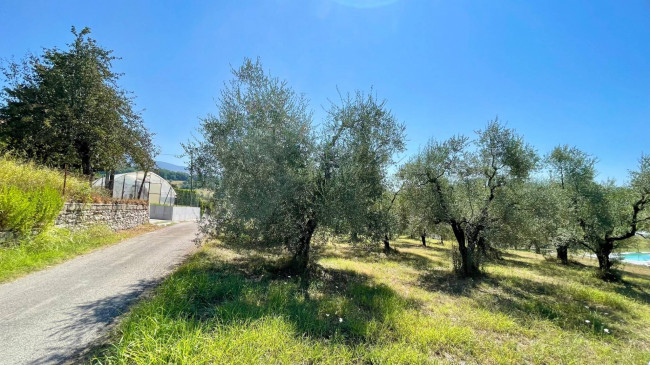 Terreno edificabile in vendita a Colfelice