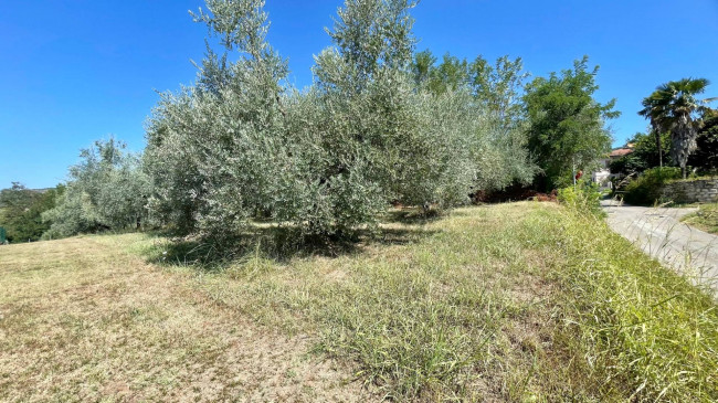 Terreno edificabile in vendita a Colfelice