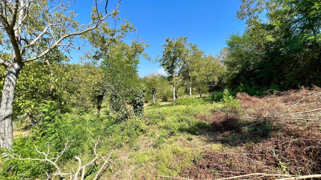 Terreno edificabile in vendita a Colfelice