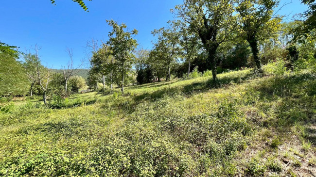 Terreno edificabile in vendita a Colfelice