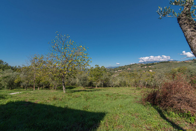 detached house for sale in Arpino