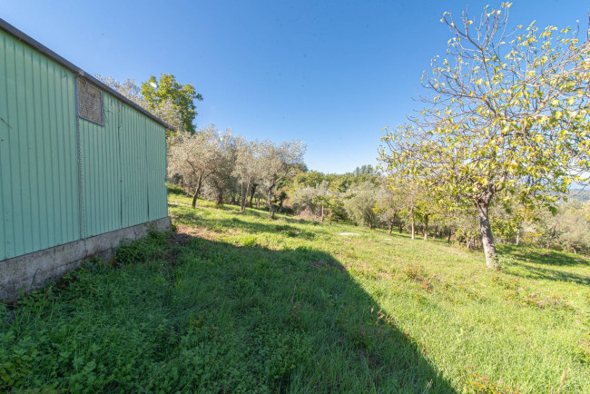 detached house for sale in Arpino