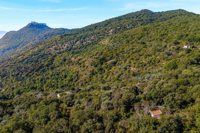Turistico-alberghiero in vendita a Cassino