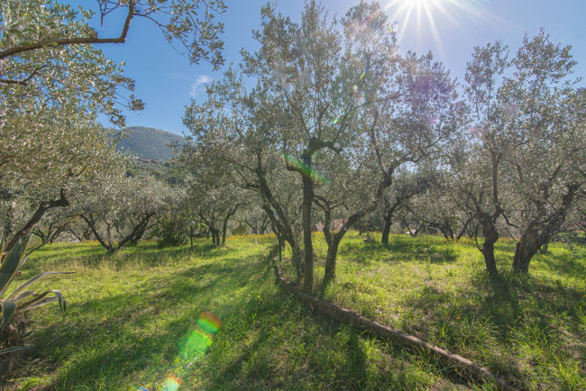 Villa for sale in Alatri