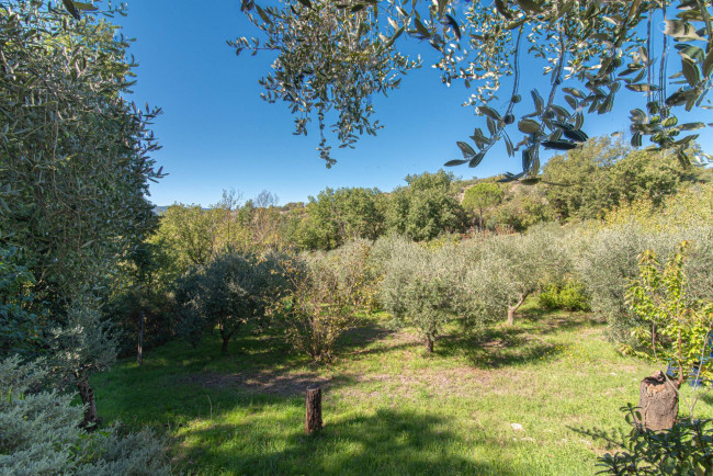 Villa for sale in Alatri