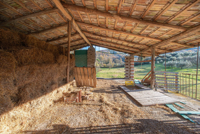 detached house for sale in Arpino