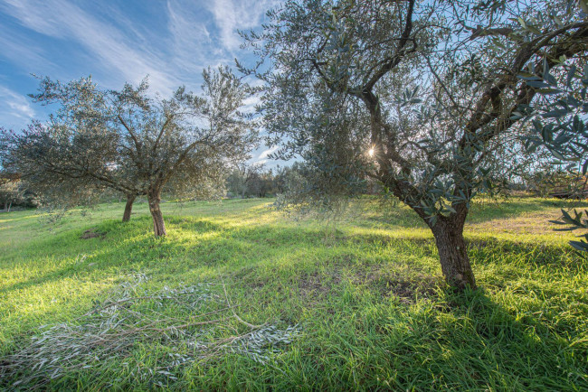 detached house for sale in Arpino