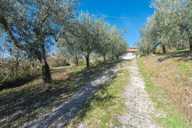 detached house for sale in Arpino