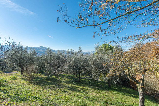 detached house for sale in Arpino