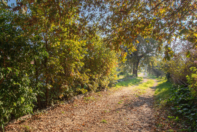 Casa indipendente in vendita a Prossedi